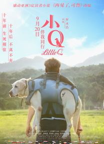 疯狂的前女友